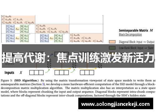 提高代谢：焦点训练激发新活力